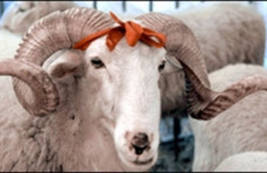 En yeni ve en anlamlı Kurban Bayramı mesajları