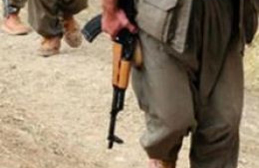 33 ünlü isimden çağrı! Derhal durdurun