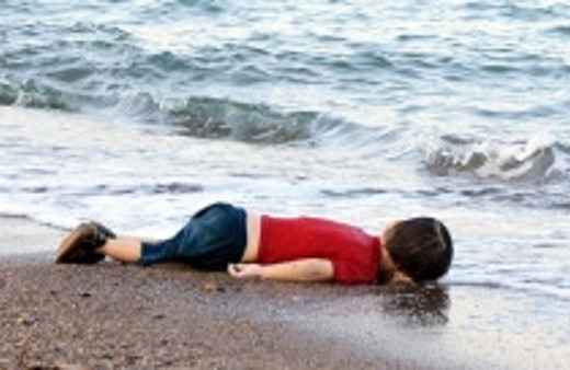 Günün en acı karesi Bodrum'dan