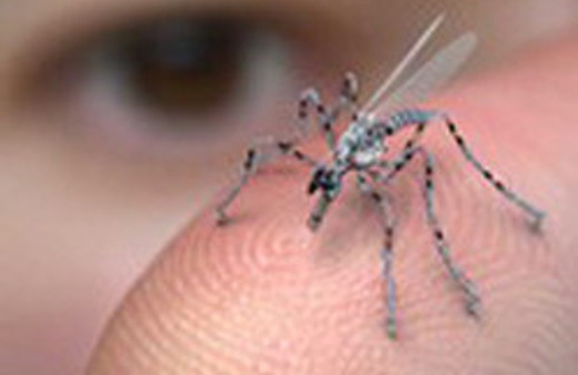 Bir bardak suda 32 milyar sinek!