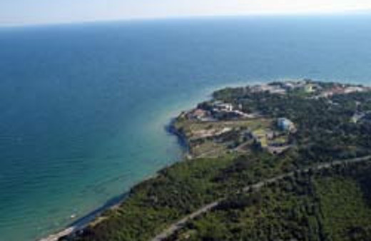 Karadeniz'de durum ciddi, yok olabilir