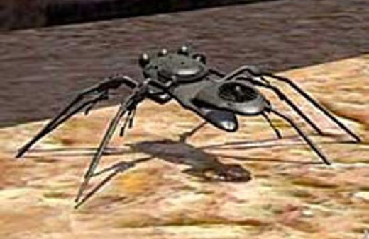 Böceğe Atatürk ismi verildi, kıyamet koptu