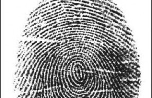 Artık asla silinmeyecek!