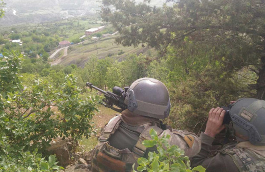 Diyarbakır Lice'de terör operasyonu