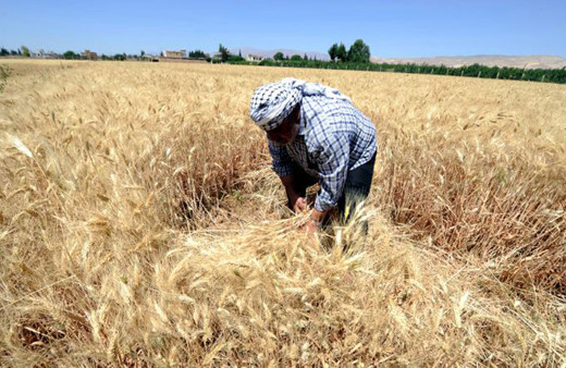 Emekli çiftçiler 5 bin lira ikramiye istiyor!