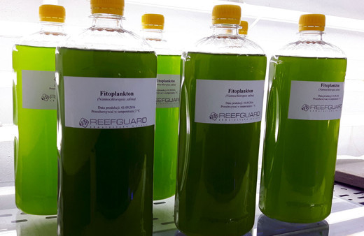 Kalp ve damar hastalıklarının şifa kaynağı mucize besin!