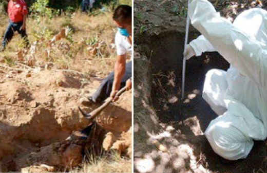 Meksika’da toplu mezardan 50 ceset çıkarıldı