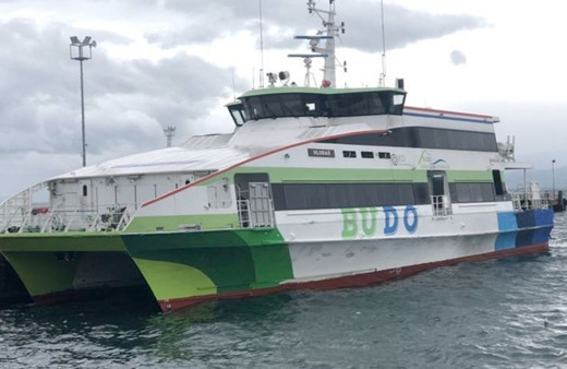 İDO ve BUDO'dan sefer iptalleri