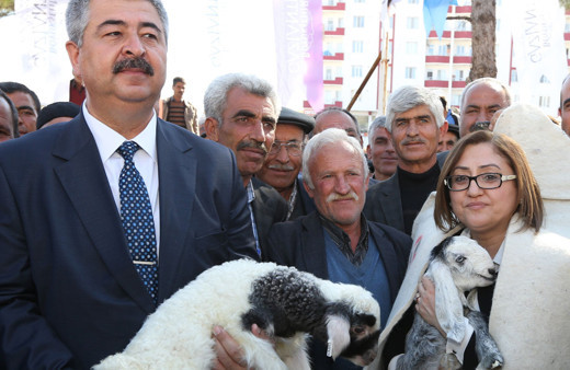 Gaziantep'te 2 milyon TL değerinde koyun süt yemi müjdesi