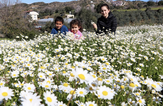 Cemre 2019 ilk nereye düşecek bu ayın kaçında?