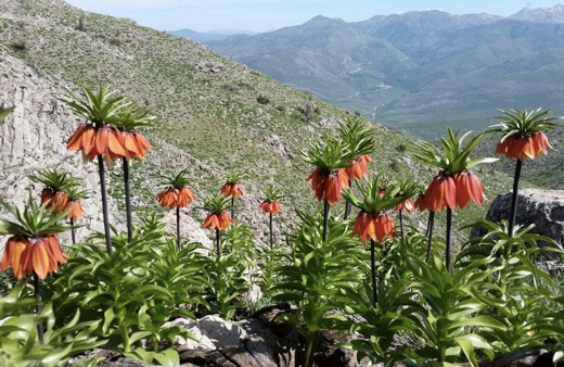 Cemre ne zaman düşer 2019 cemre nedir?