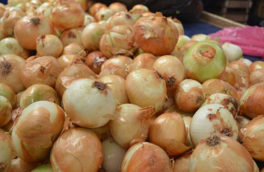 Soğan fiyatlarına zam kapıda tohumluk soğanlar 20 liraya çıktı