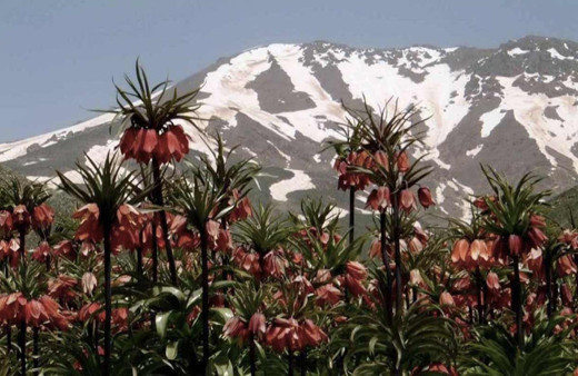 2019 cemre düşme tarihleri ilk cemre nereye düşer hangi gün?