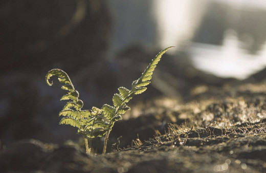 Cemre düşmesi 2019 bugün mü düşüyor cemre düşme tarihleri