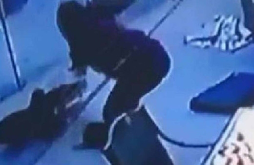 Şahin köpeğe böyle saldırdı! Genç kız kurtardı