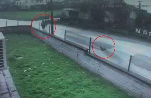 Çocuk kaçtı horoz kovaladı