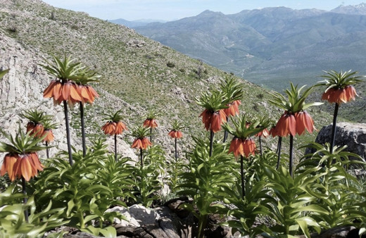İkinci cemre ne zaman düşecek 2019 neye düşer?