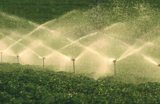 Tarım ÜFE eylülde aylık yüzde 4,47, yıllık yüzde 71,96 arttı!