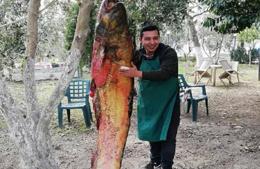 Görenleri şoke etti! Bursa'da yakaladılar! Ağaca asıp...