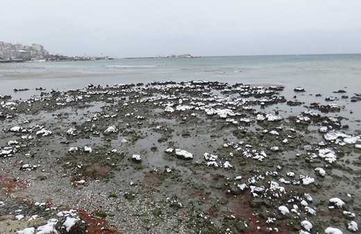 Silivri'de deniz yaklaşık 150 metre çekildi!