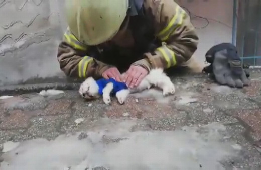 İtfaiye eri köpeği hayata döndürmek için böyle mücadele verdi