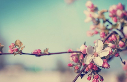 Cemre ne zaman düşüyor 1. cemre düşme tarihi nereye düşer?