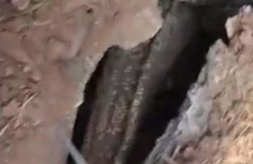 Bahçede toprağın altından gelen sesin kaynağı şoke etti!