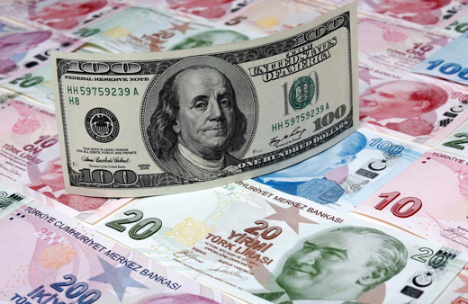 Serbest piyasada döviz açılış fiyatları