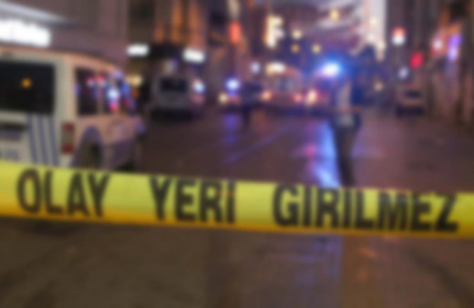 Aydın'da iki veli arasında çıkan kavga cinayetle bitti