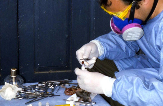 Yeni salgın alarmı! Tam 8 bin insan tehdit altında