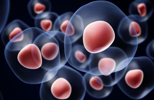 Kök hücre tedavisinde harika haber! İkinci kez denendi oldu