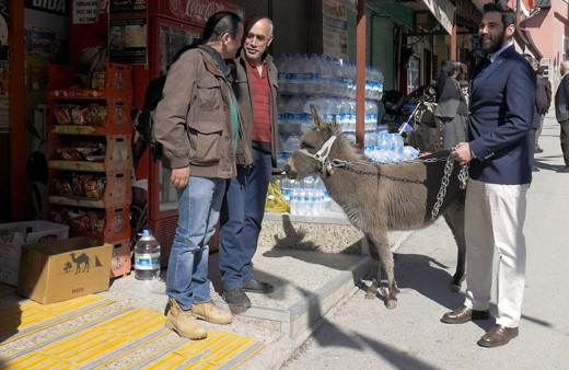 DSP Çamlıyayla adayı Alp Erdem sıpa ile ilçeyi dolaşıyor