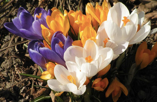 Cemre düştü mü üçüncü cemre nereye düşer sırası nasıl?