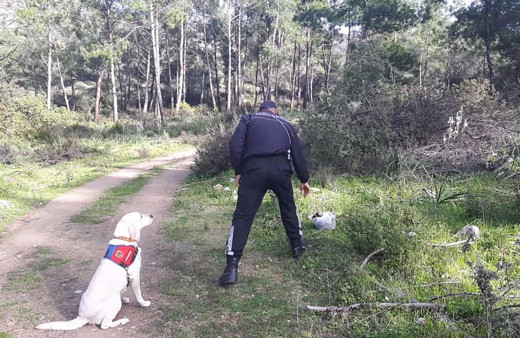 Muğla'da piknikte kaybolan yaşlı kadın bulundu