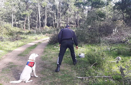 Muğla'da piknikte kaybolan yaşlı kadın bulundu