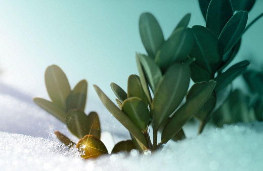 Tatlı krizinizi önlemek için bunu kesinlikle tüketin