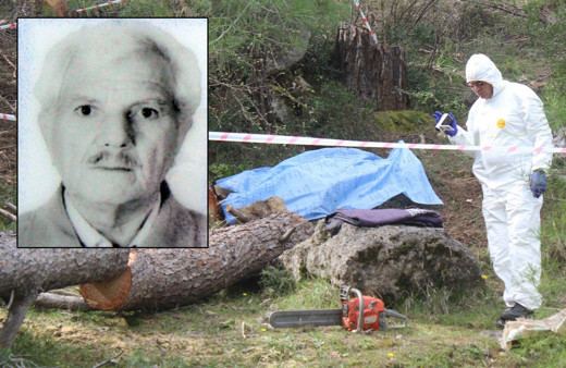 Antalya'da korkunç ölüm! Kestiği ağacın altında can verdi