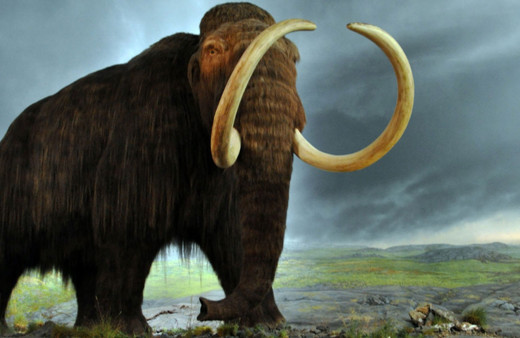 Japon bilim insanlarından mamutları yeniden hayata döndürecek adım