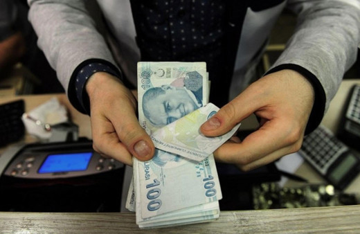 Bekir Pakdemirli'den besiciye ödeme açıklaması