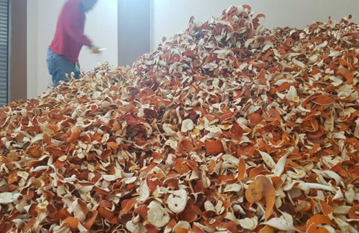 Yurt dışından talep yağıyor! Kendisinin kilosu 1 tl kabuğu 6 tl