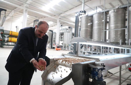 Sanayi ve Teknoloji Bakanı Mustafa Varank açıkladı Siirt fıstığı dünyaya açılıyor