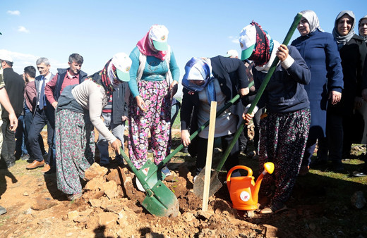 Kral yiyeceği trüf mantarı Kahramanmaraş'ı ihya edecek