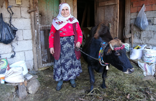 Kesmeye kıyamadığı ineğin yaşını duyanlar şaşırıyor