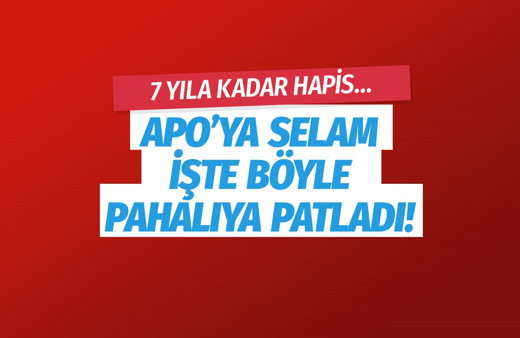 HDP'li Sibel Yiğitalp'e 7 yıla kadar hapis istemi!