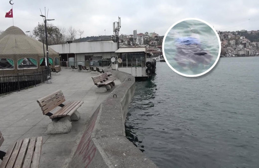 Sarıyer'de denize atlayan kadın için 'bana ne' dediler