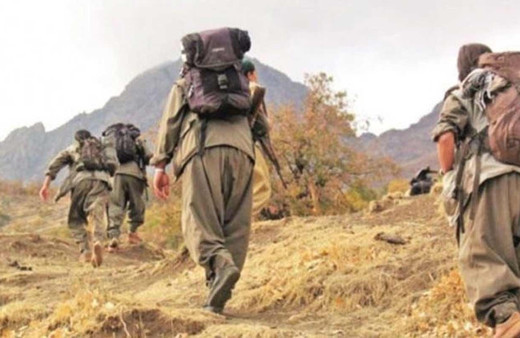 Suriye'de PKK'dan kaçan 5 terörist Türkiye'ye teslim oldu