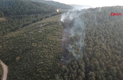 Aydos Ormanı’nda yangın çıktı