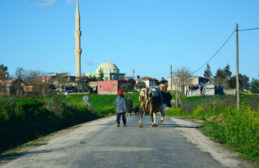 Adana İmamoğlu yerel seçim sonuçları 2019 İmamoğlu seçim sonucu