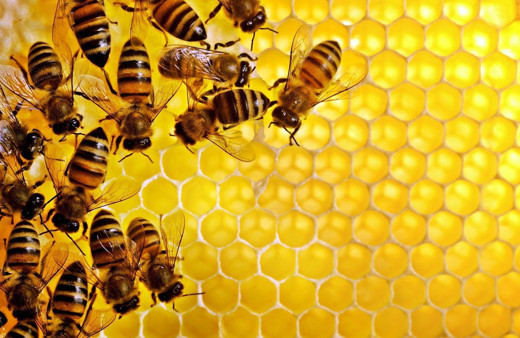 1 tatlı kaşığı bal kaç kalori-Kalori hesaplama cetveli