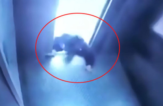 Asansörde korkunç anlar! Bir anda hareket etti